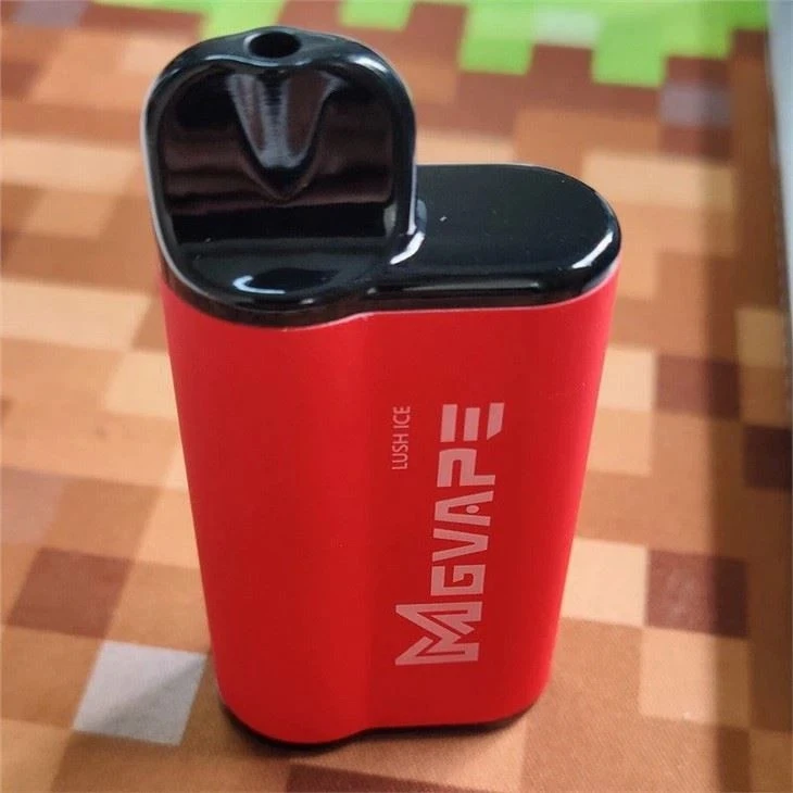Mgvape 4000 Puffs Recharge Vape Box best
