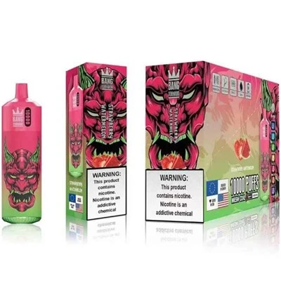Bang King Vapeのニコチン送達はどのように機能しますか?