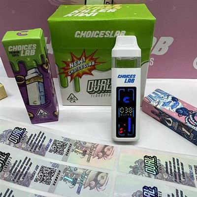 ハードウェアの分解: Choice Labs の空の Vape 対 Geek Bar Pulse Pre-Filled-