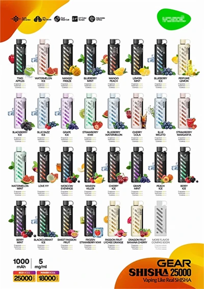 Vozol Gear Shisha 25000 Puffs使い捨て蒸気